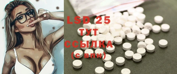 спиды Бородино