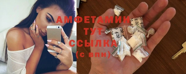 спиды Бородино