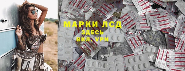 спиды Бородино