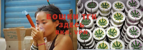 спиды Бородино