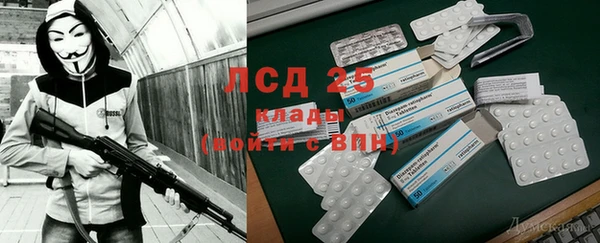 спиды Бородино