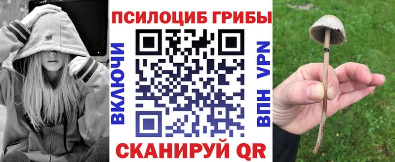 Галлюциногенные грибы мухоморы  где продают наркотики  Верхний Уфалей 